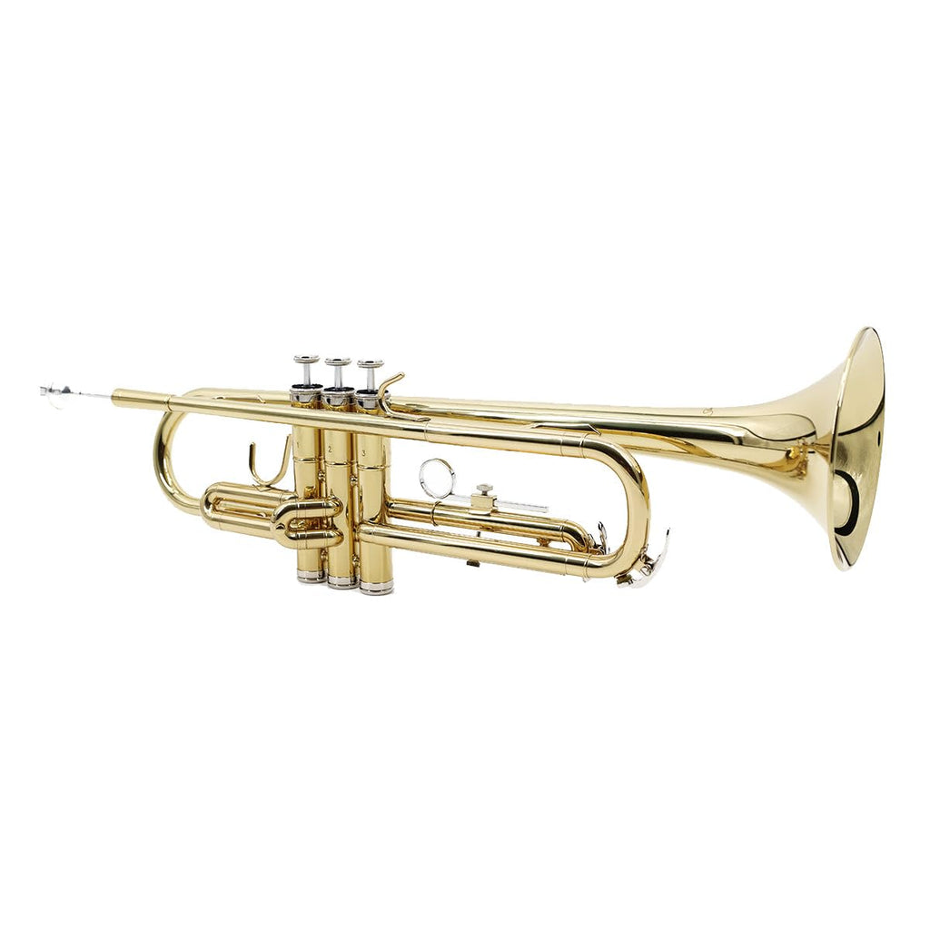 Trumpet Set with Hard Case, Mouthpiece, Cleaning Kit, Brass F547