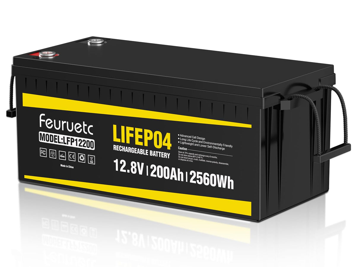 12V 200Ah LiFePO4 Deep Cycle Lithium Battery with 200A BMS Y43813