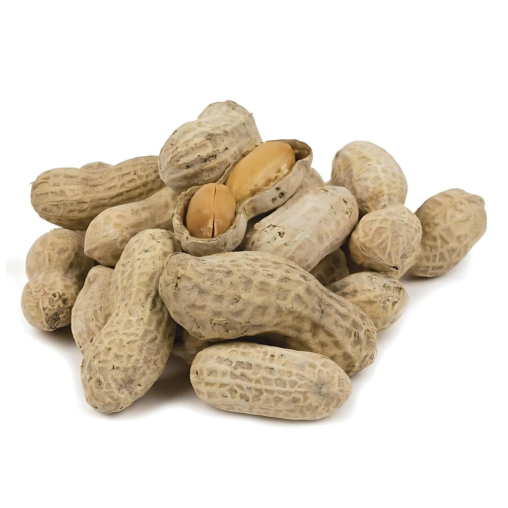 In-Shell Peanuts 10 Pounds T78982