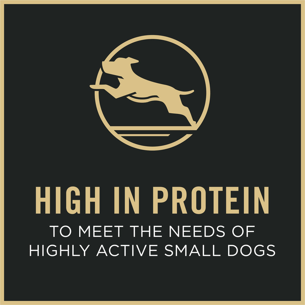 Small Breed Dry Dog Food 6 lb Bag R748