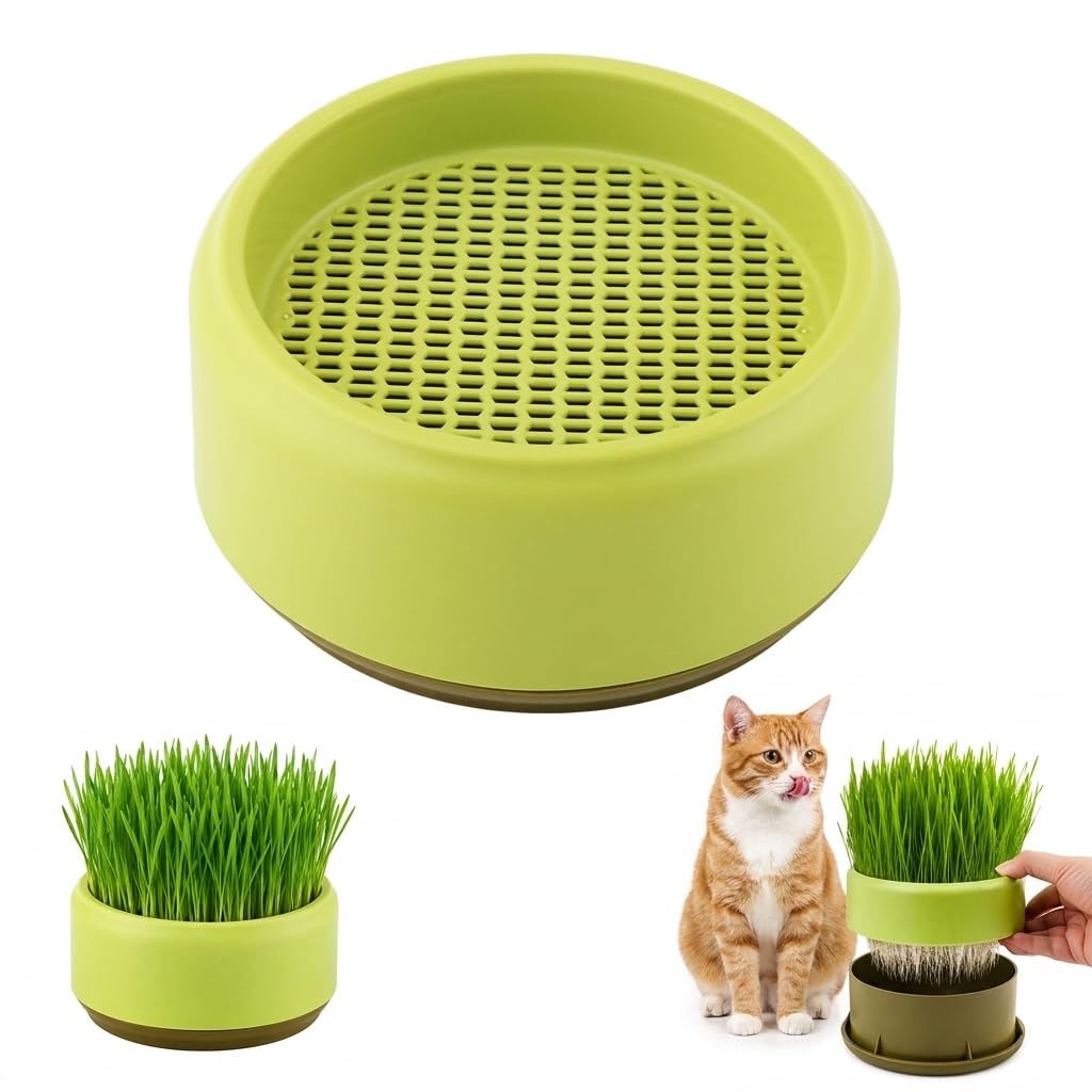Hydroponic Cat Grass Grow Box J195761