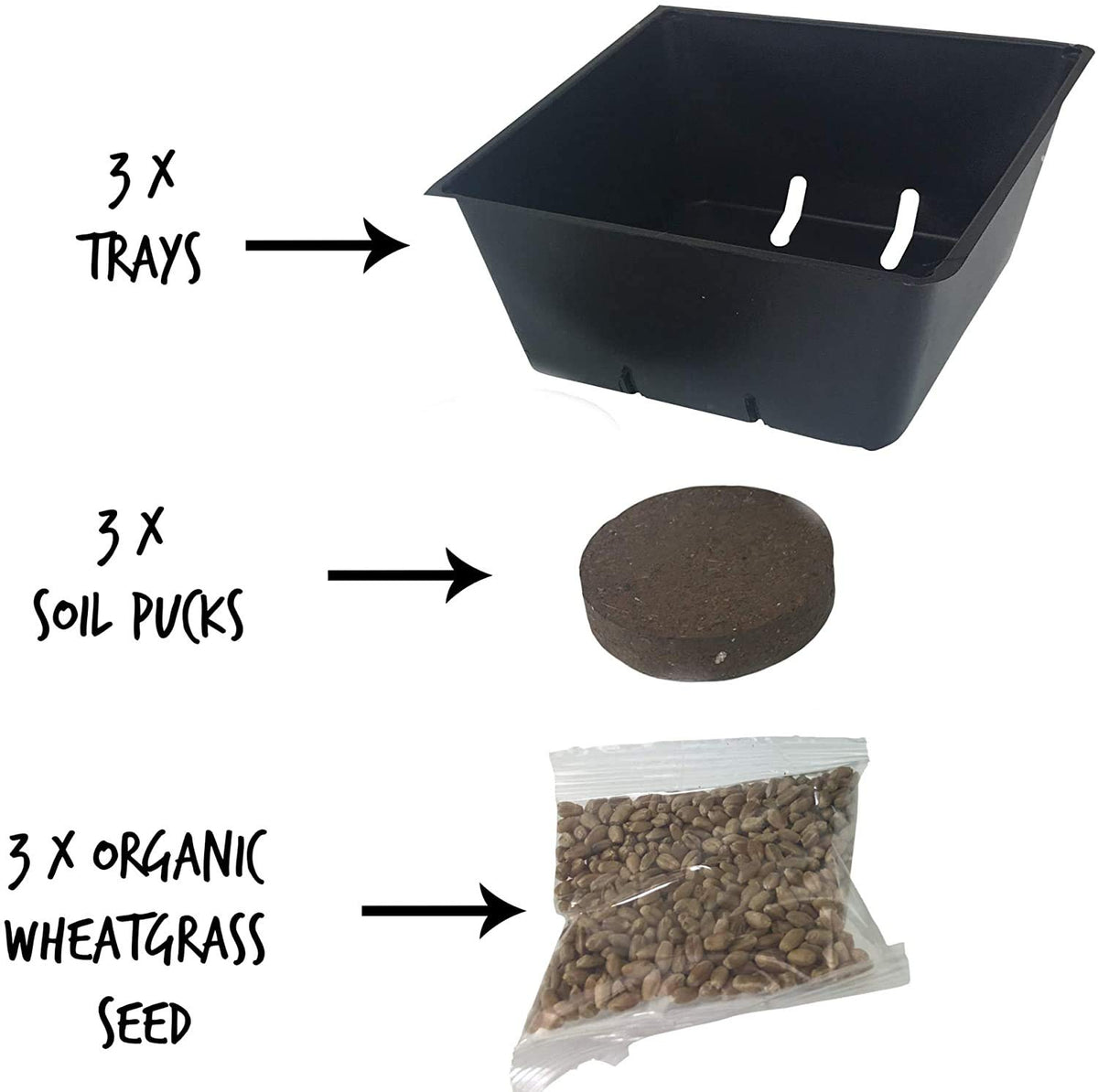 Organic Cat Grass Kit with 3 Trays K664857