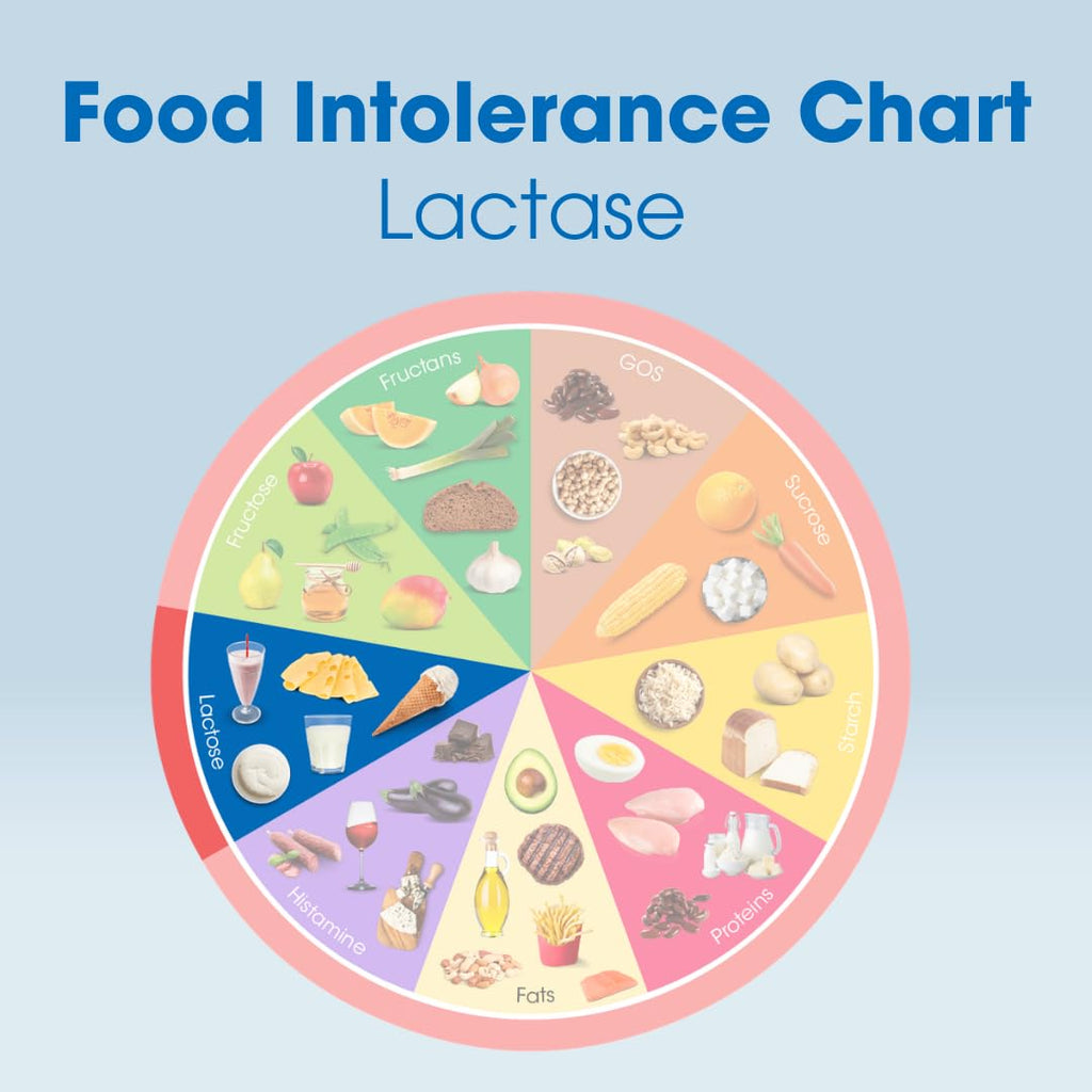 Lactase Digestive Enzymes 100 Tablet G28608