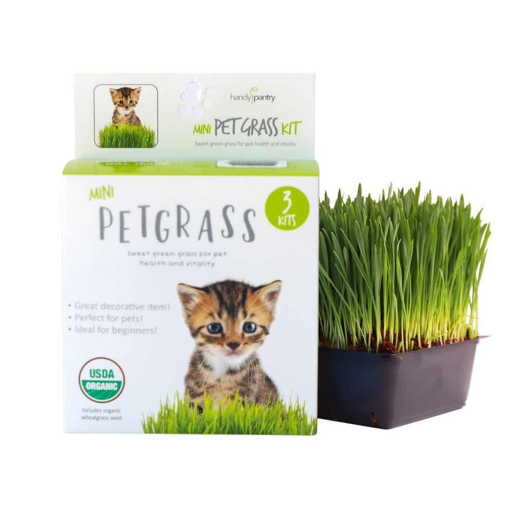 Organic Cat Grass Kit with 3 Trays K664857