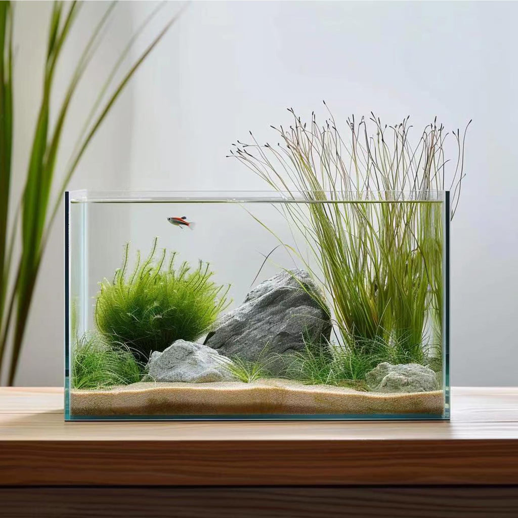 3 Gallon Glass Fish Tank P50227