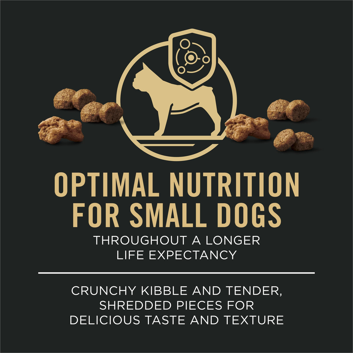 Small Breed Dry Dog Food 6 lb Bag R748