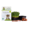 Organic Cat Grass Kit with 3 Trays K664857