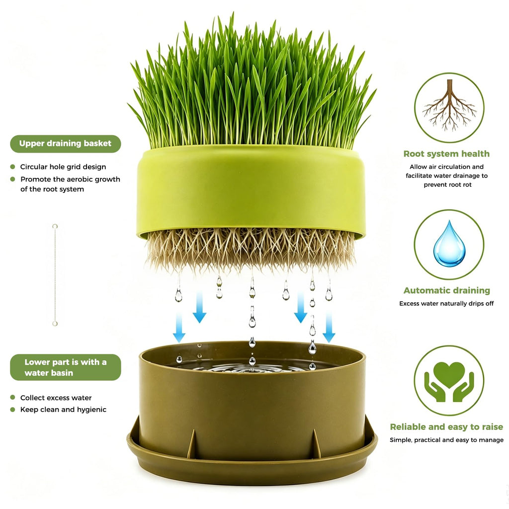 Hydroponic Cat Grass Grow Box J195761