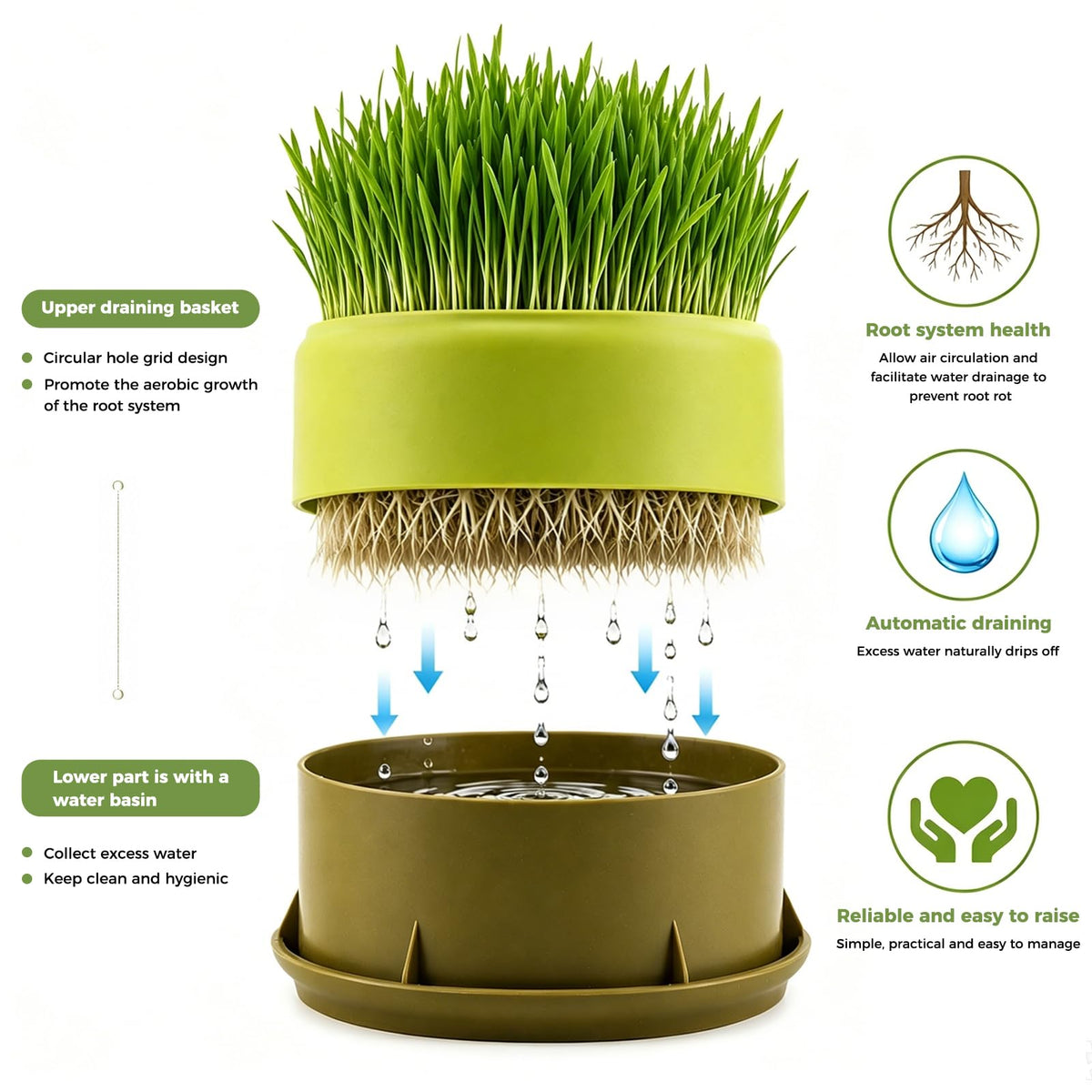 Hydroponic Cat Grass Grow Box J195761
