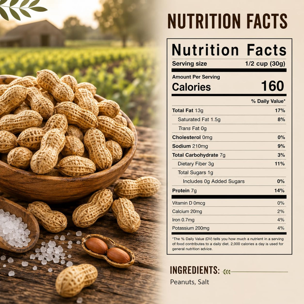 Roasted Salted Peanuts In Shell 1 LB S52567