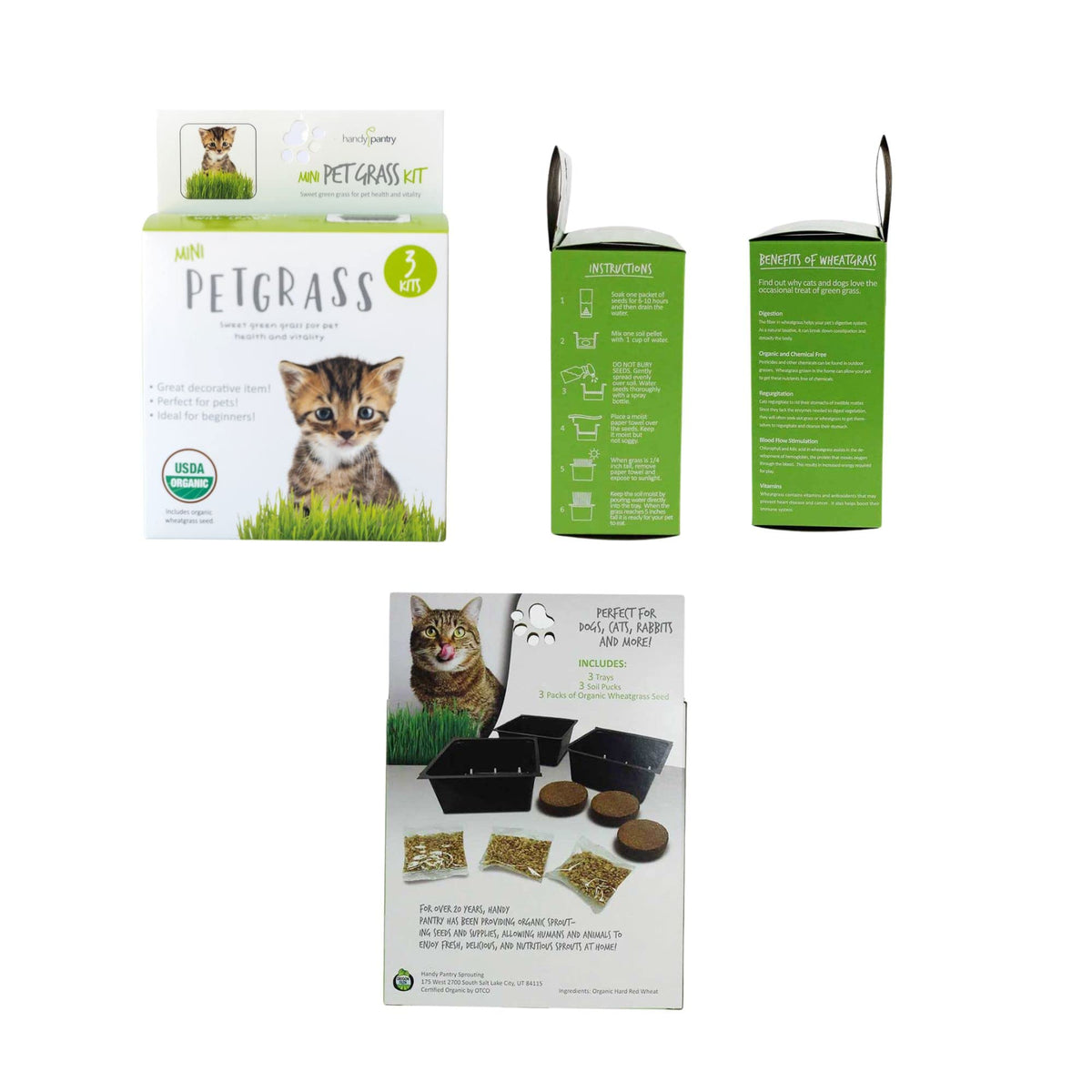 Organic Cat Grass Kit with 3 Trays K664857