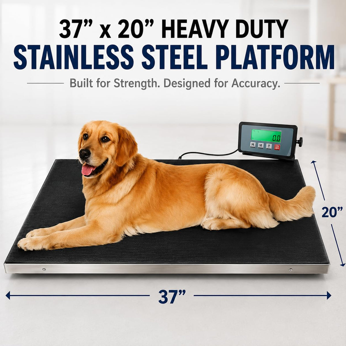 Heavy Duty 660 Pounds Veterinary Dog Scale with Stainless Steel Platform O962