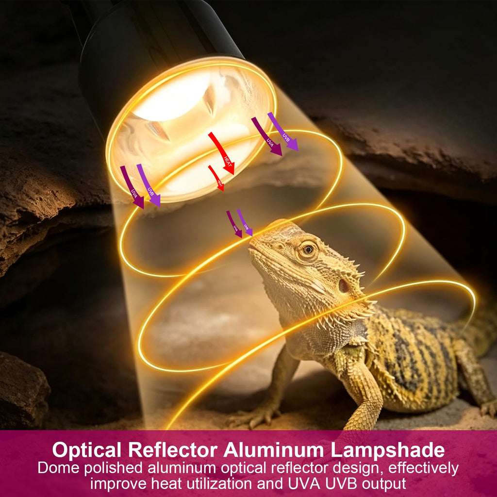 Ceramic Socket Reptile Heat Lamp Kit O581