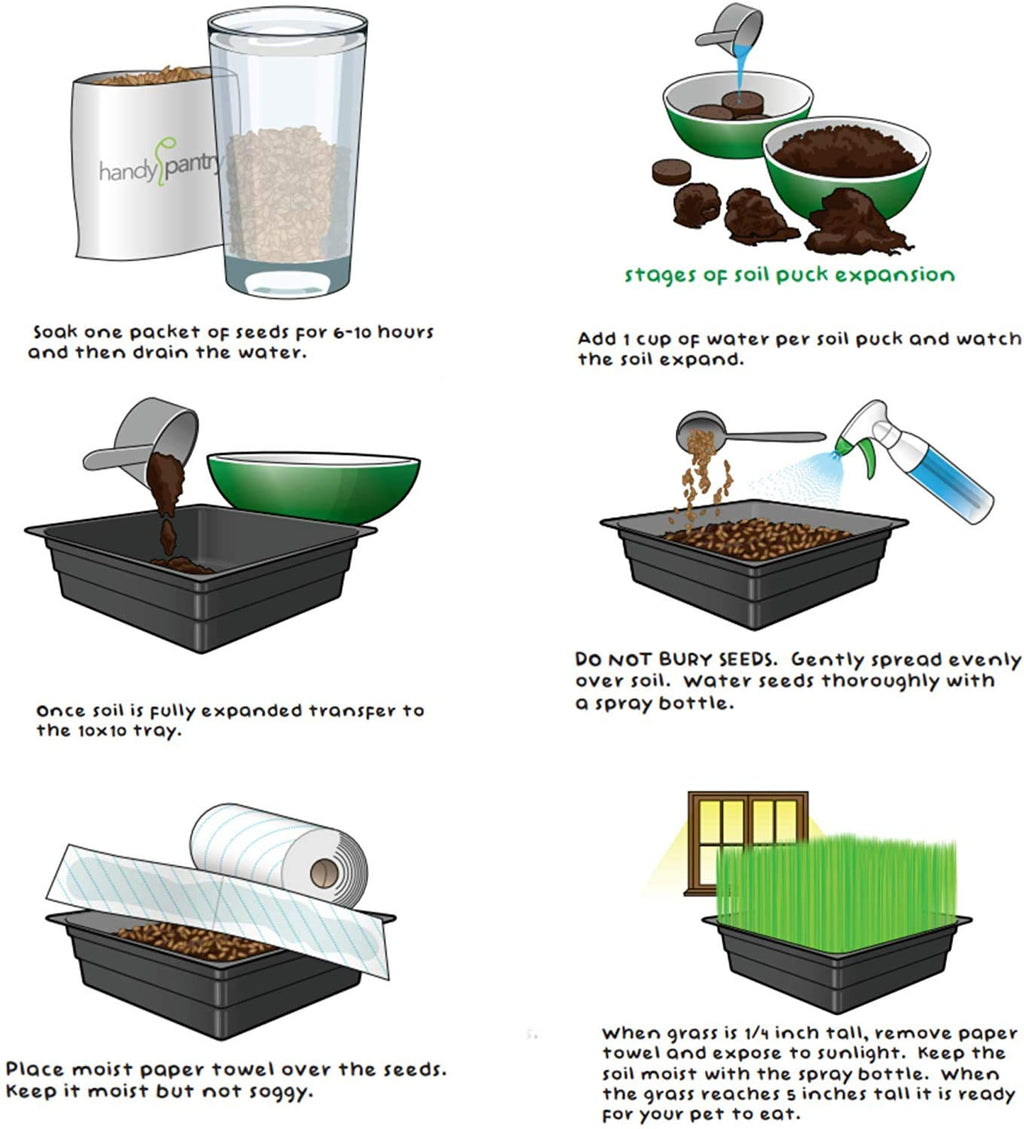 Organic Cat Grass Kit with 3 Trays K664857