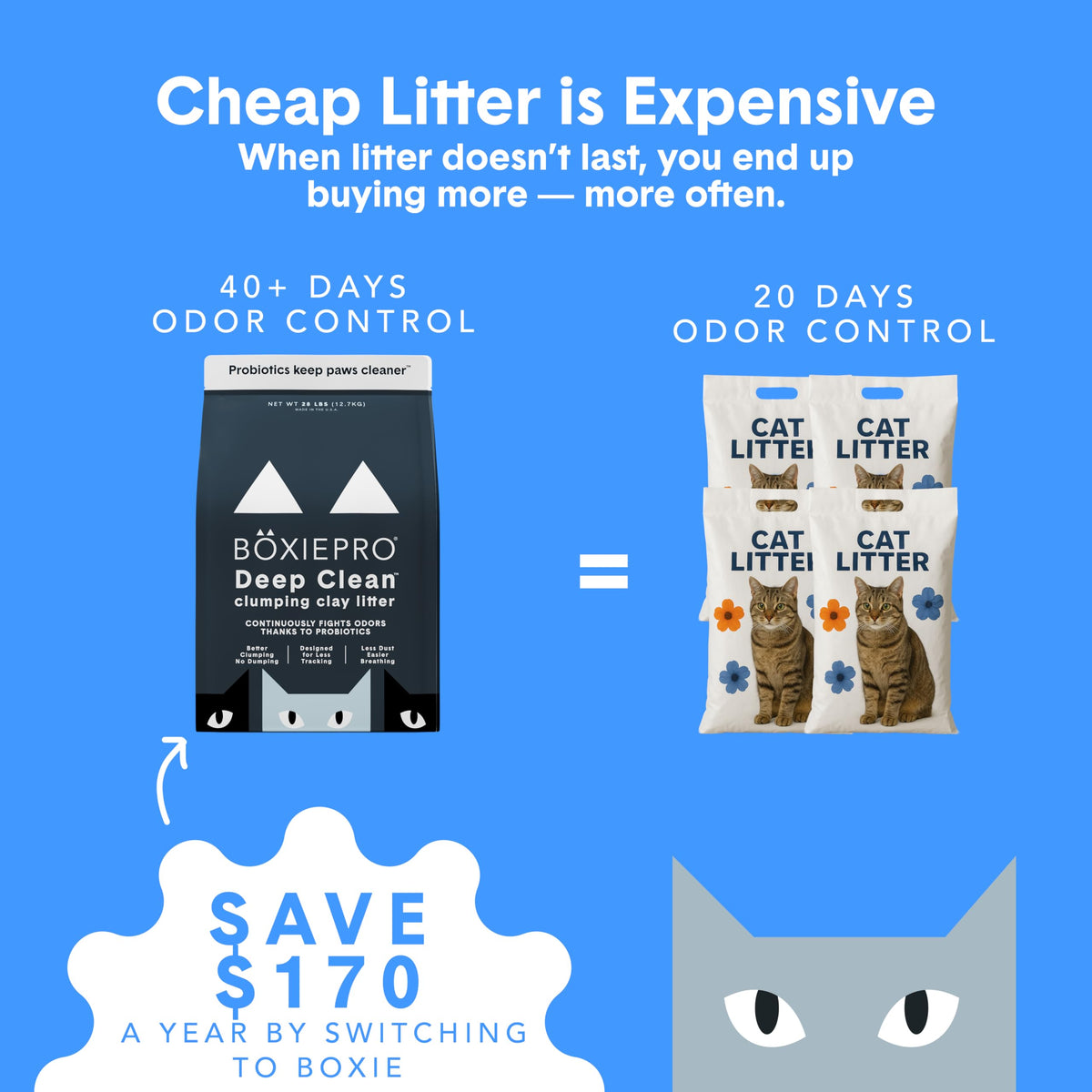 Clumping Clay Cat Litter 16 lb S569577