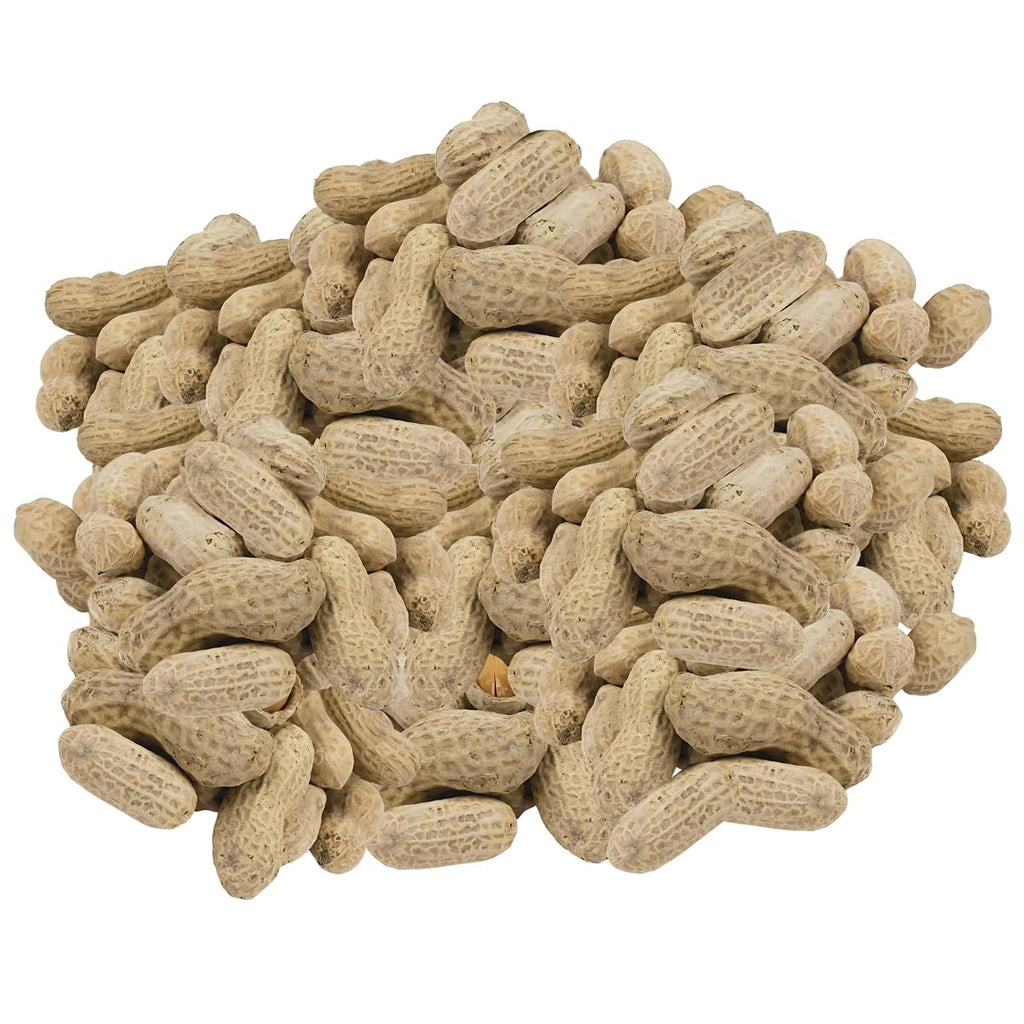In-Shell Peanuts 10 Pounds T78982