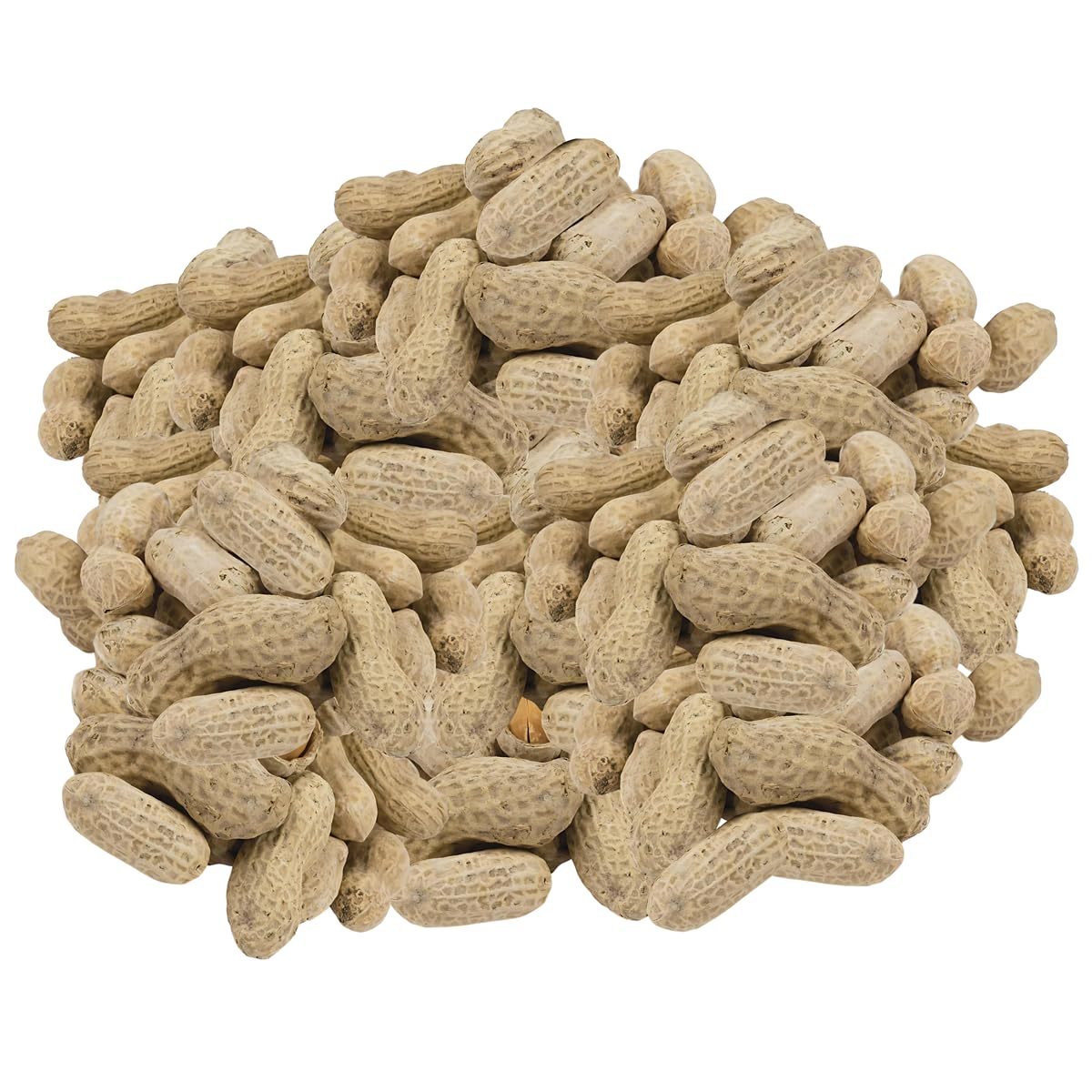 In-Shell Peanuts 10 Pounds T78982