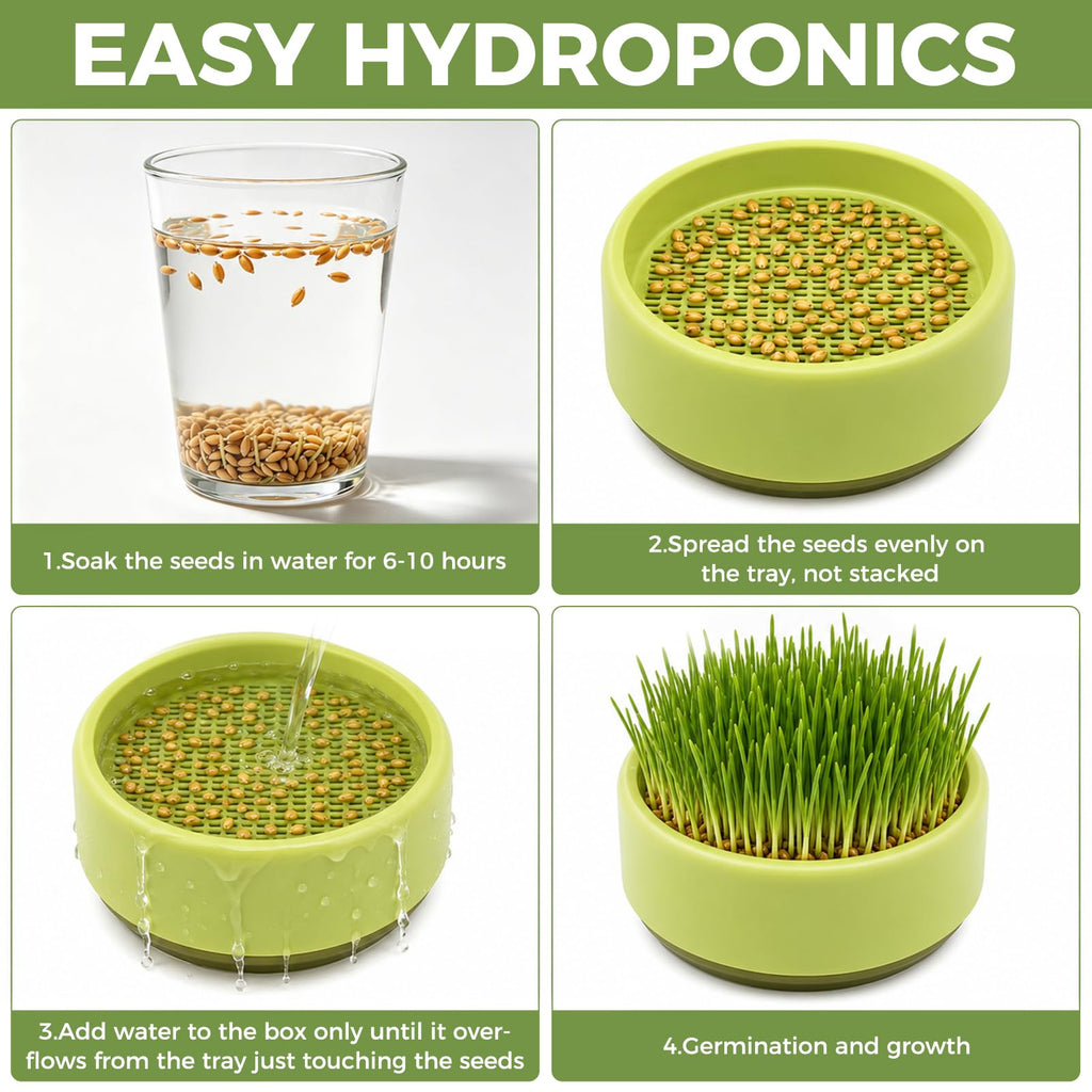 Hydroponic Cat Grass Grow Box J195761