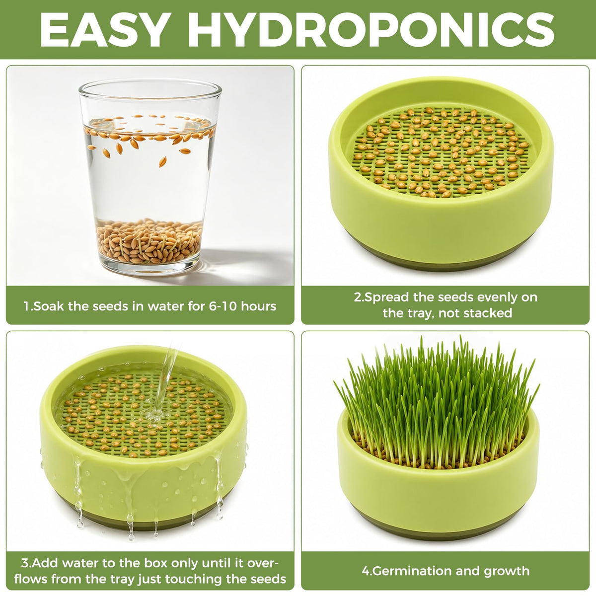 Hydroponic Cat Grass Grow Box J195761