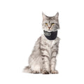 Padded Cat Recovery Collar C8469