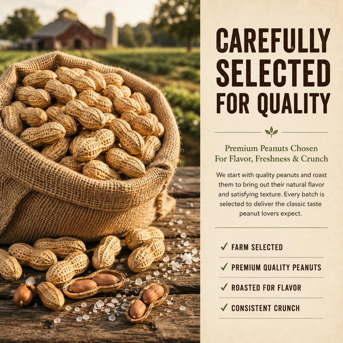 Roasted Salted Peanuts In Shell 1 LB S52567