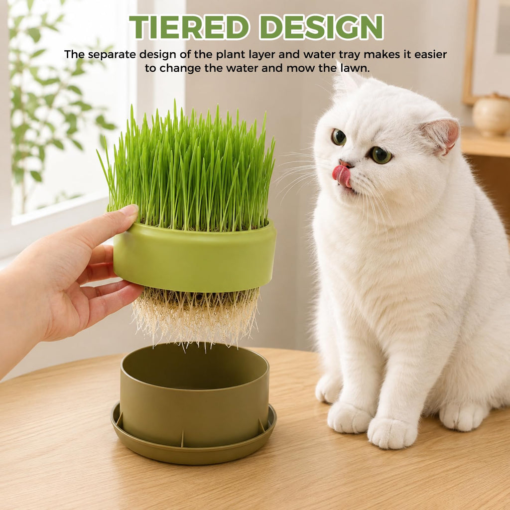 Hydroponic Cat Grass Grow Box J195761