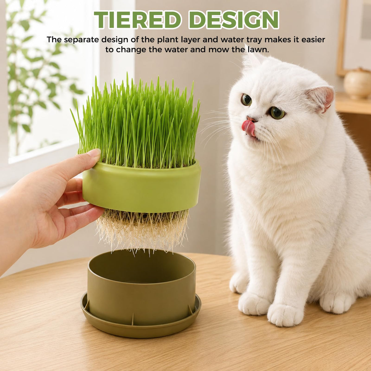 Hydroponic Cat Grass Grow Box J195761