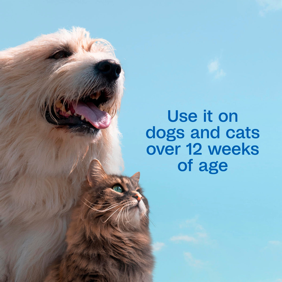 Plus Pyrethrin Flea Dip For Dogs and Cats 4 Fl oz X133