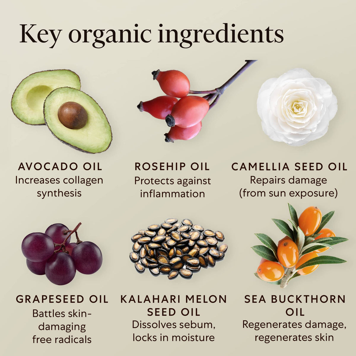 Organic Face Oil with Rosehip Sea Buckthorn Avocado Vitamin E F12406