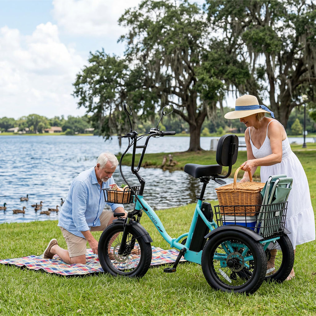 Folding Electric Tricycle 500W 3 Wheel E-Trike with Fat Tires U41727