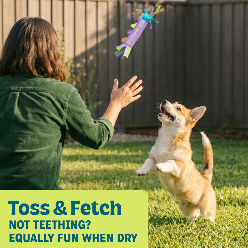 Cool Teething Stick Dental Dog Chew Toy X278113