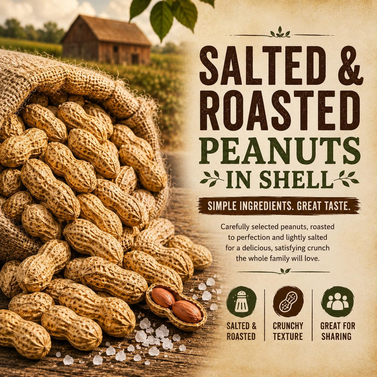Roasted Salted Peanuts In Shell 1 LB S52567