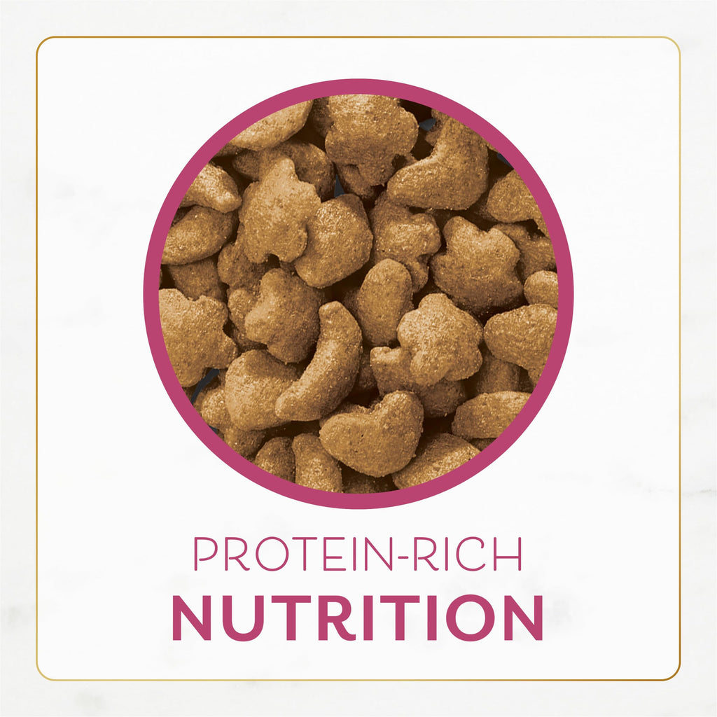 Dry Cat Food Filet Mignon Flavor 3 lb. Bag S993
