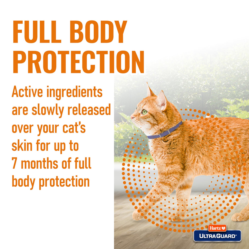 Flea & Tick Collar for Cats and Kittens X134834