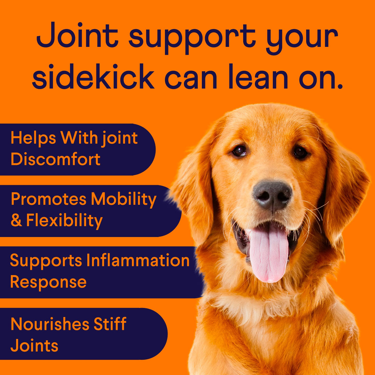 Hip & Joint Chews for Dogs, 90 Ct C9283