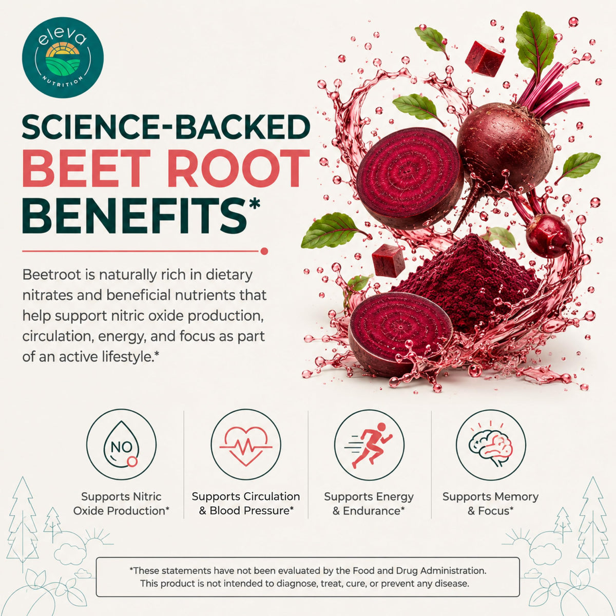 Sugar-Free Beet Root Gummies 90 Chews R397133