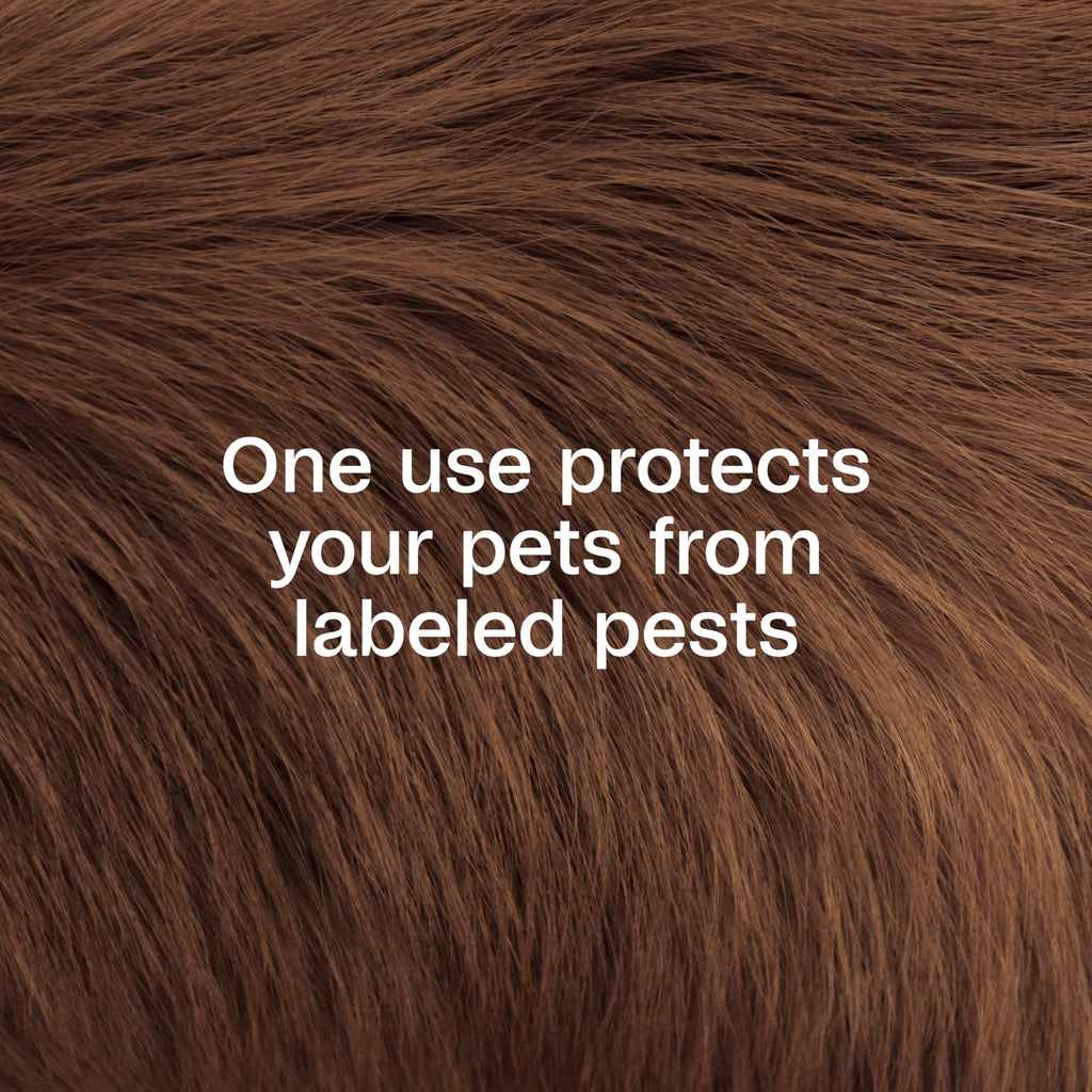 Plus Pyrethrin Flea Dip For Dogs and Cats 4 Fl oz X133