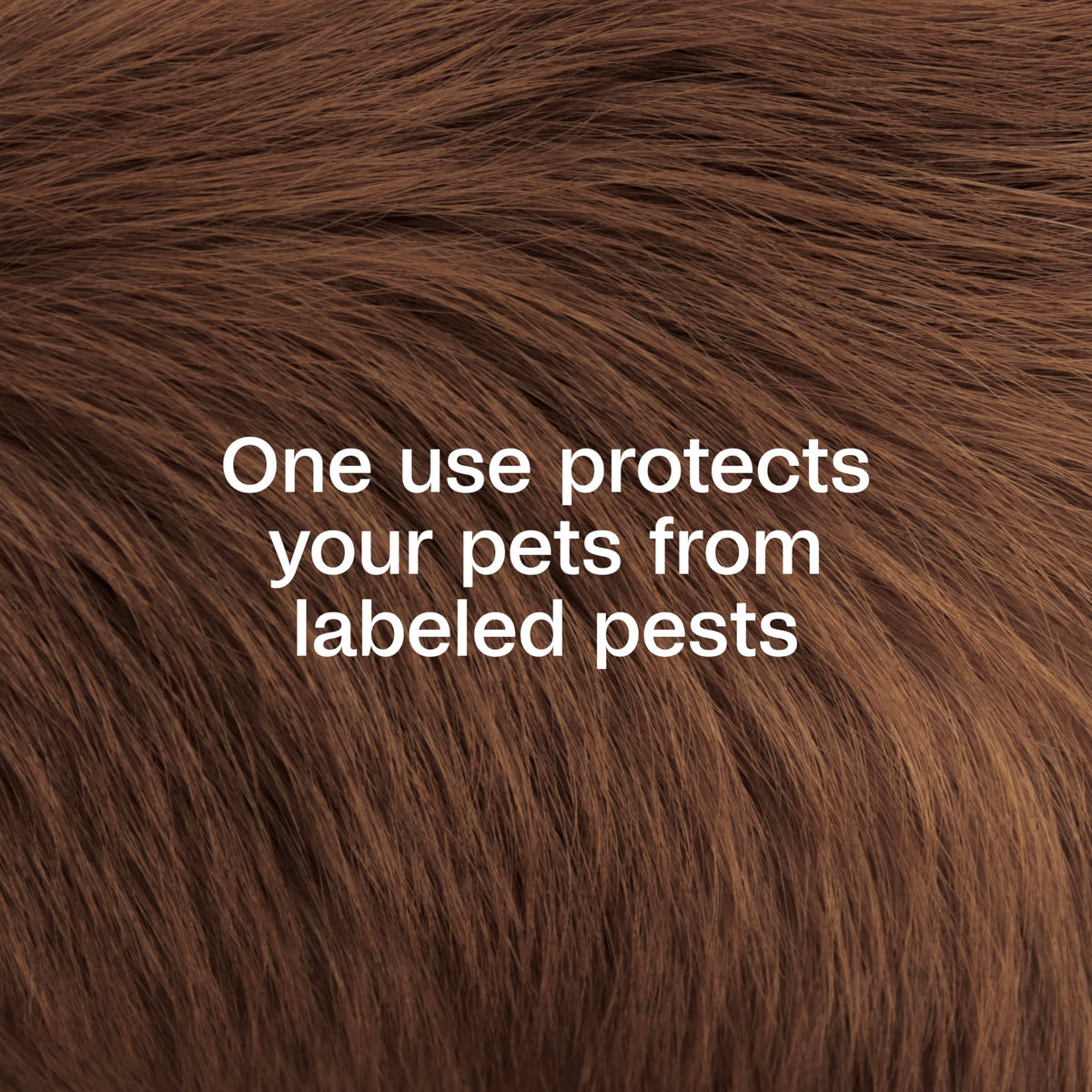 Plus Pyrethrin Flea Dip For Dogs and Cats 4 Fl oz X133