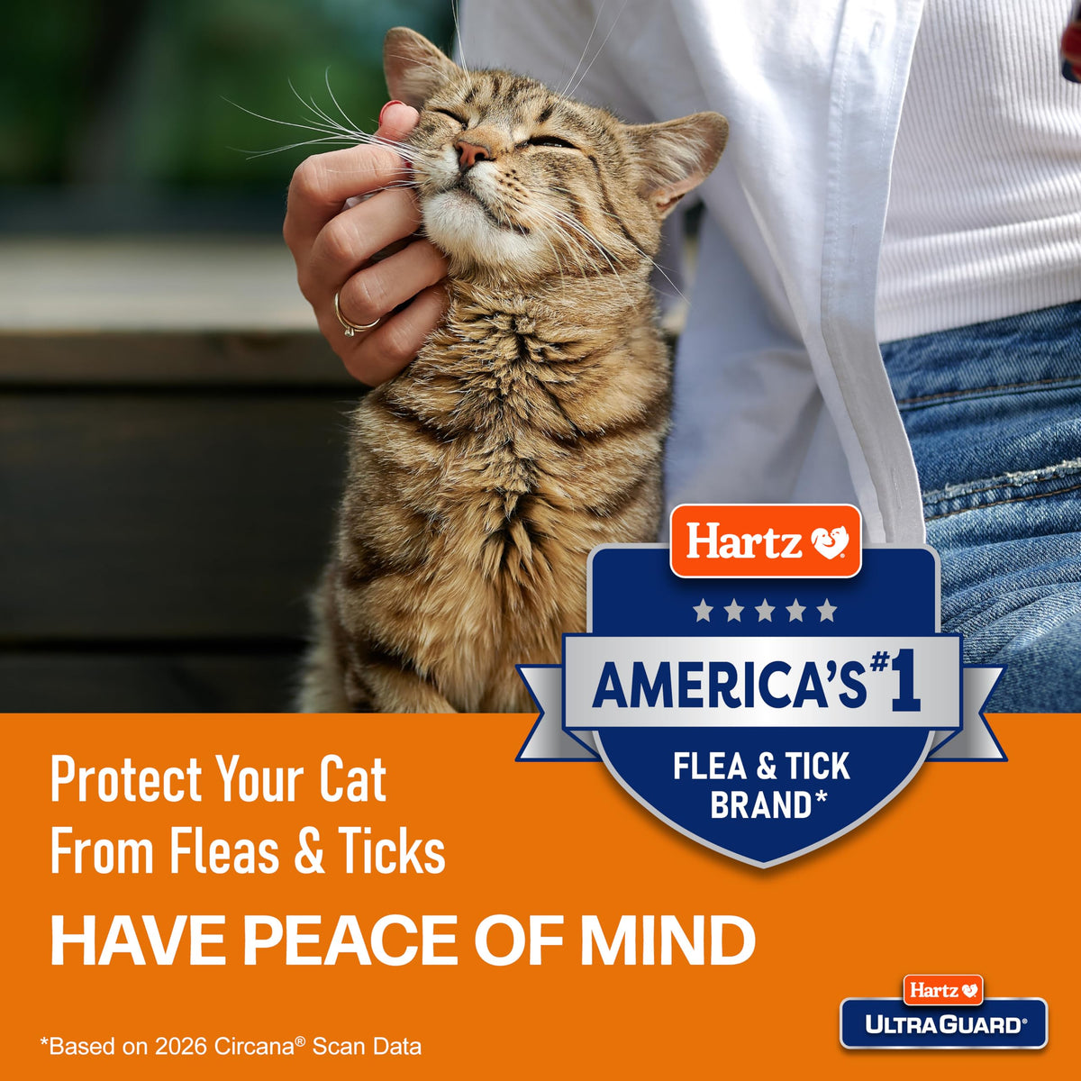 Flea & Tick Collar for Cats and Kittens X134834
